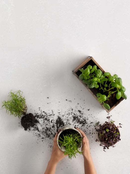 BLAT DE BUCATARIE QUARTZ 2123 PERLA WHITE