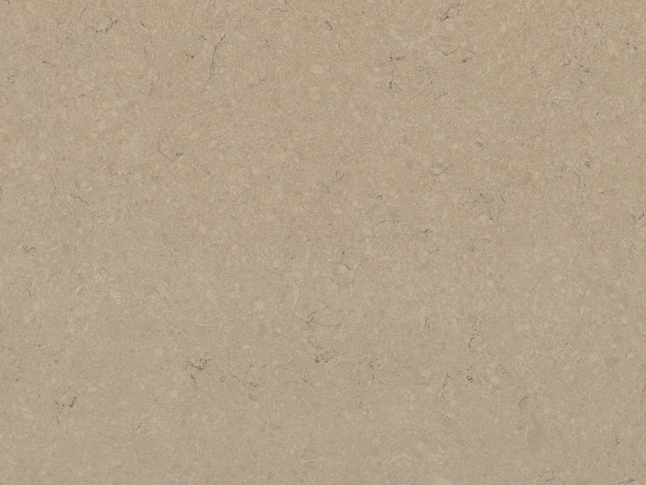 BLAT DE BUCATARIE QUARTZ 3333 BOLETUS