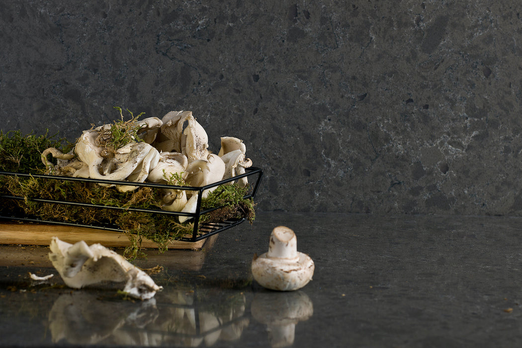 BLAT DE BUCATARIE QUARTZ BABILON