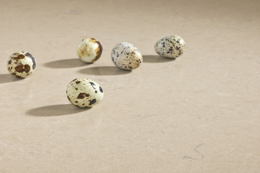 BLAT DE BUCATARIE QUARTZ 3333 BOLETUS