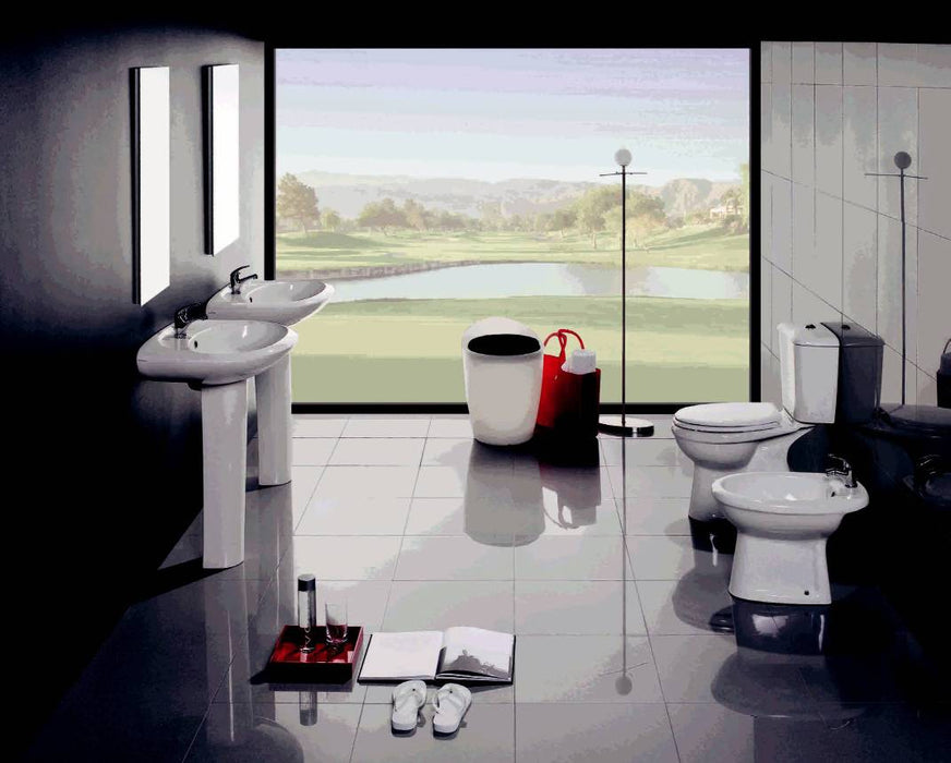 Set vas WC monobloc Europa