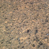 TREVI